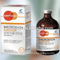 veterinary supplier 10% Enrofloxacin Injection for antibiotic medicine in cattle horse